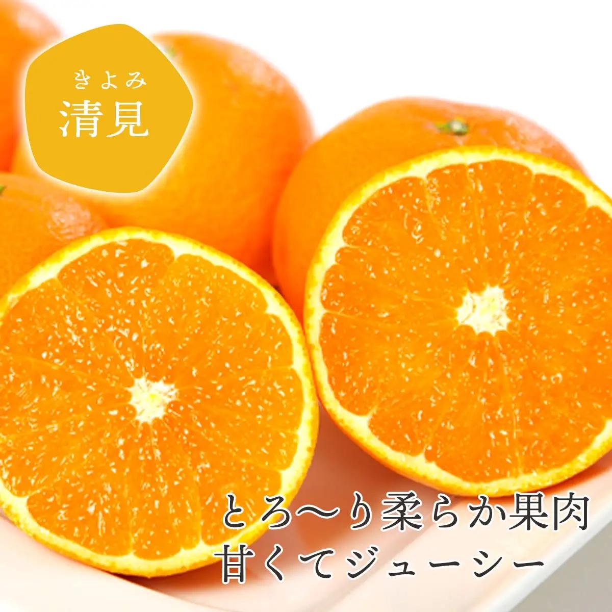 果汁たっぷり ジューシー清見3.5kg【D25-129】【1044409】 YWTAP072