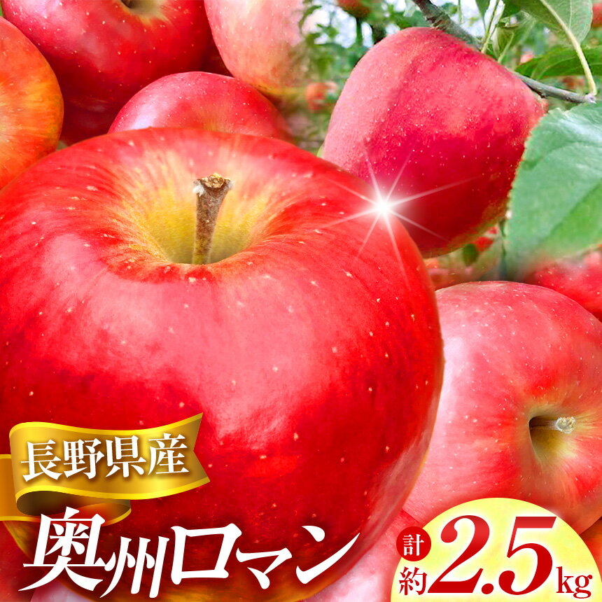 【ふるさと納税】 信州 りんご シャキ シャキ 貯蔵りんご 奥州ロマン 約2.5kg スマートフレッシュ 2026年2月上旬～発送予定｜りんご 林檎 フルーツ 果物 奥州ロマン 貯蔵りんご 長野県 信州