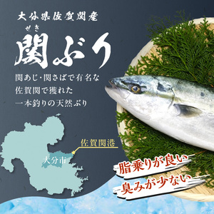 E04014　関ぶりの刺し身（柵状）　約600g