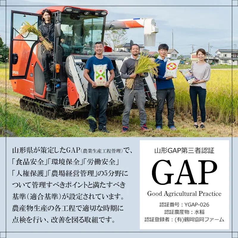 特別栽培米 はえぬき 精米5kg (5kg×1袋) 山形県鶴岡産 鶴岡協同ファーム 【令和8年産早期予約特別企画】