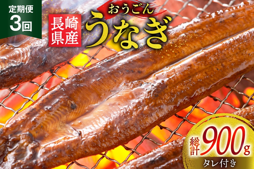 
                  うなぎ 国産 蒲焼 長崎県産 おうごんうなぎ 約300g 2尾〜3尾 3回 定期便 総計 約900g [松永水産 長崎県 平戸市 hr42bvj550006] 鰻 うな重 うな丼 ひつまぶし 蒲焼き かばやき タレ付き 養殖 国内産 冷凍 unagi
                