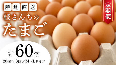 【3ヶ月定期便】枝さんち の たまご 20個×3回 合計60個 定期便 産地直送 たまご 玉子 生卵 鶏卵 タマゴ 平飼い 桜川市産 茨城県産 卵 非遺伝子組換え [BT004sa] 