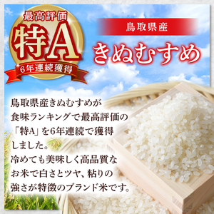【在庫限定】令和7年産米 きぬむすめ 5kg （大上農園）数量限定 お米 こめ 白米 きぬむすめ