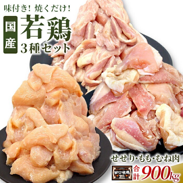 【ふるさと納税】奥三河どり使用！ 田口塩鶏 国産 若鶏味付け肉 3種セット 900g（もも肉250g×1・むね肉250g×1・せせり200g×2）もも肉 むね肉 塩ダレ 味付け肉 鶏肉 鶏 肉 キャンプ バーベキュー 味付け肉 大容量 手軽 地鶏 焼肉 焼き鳥 10000円 10,000円 10000 -169