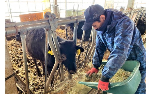 「竹の谷蔓牛」を未来に！スタッフが丹精込めて飼育しています。