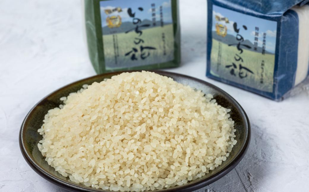 いのちを感じる西和賀、大野で育てたお米