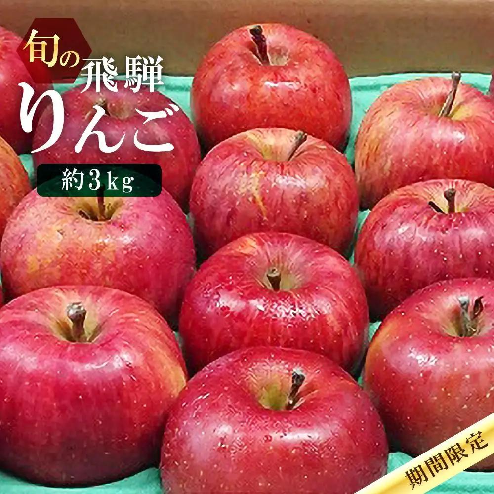 【先行予約 9月中旬～1月下旬発送】飛騨高山産 飛騨りんご 約3kg(8個～11個）| りんご MA002