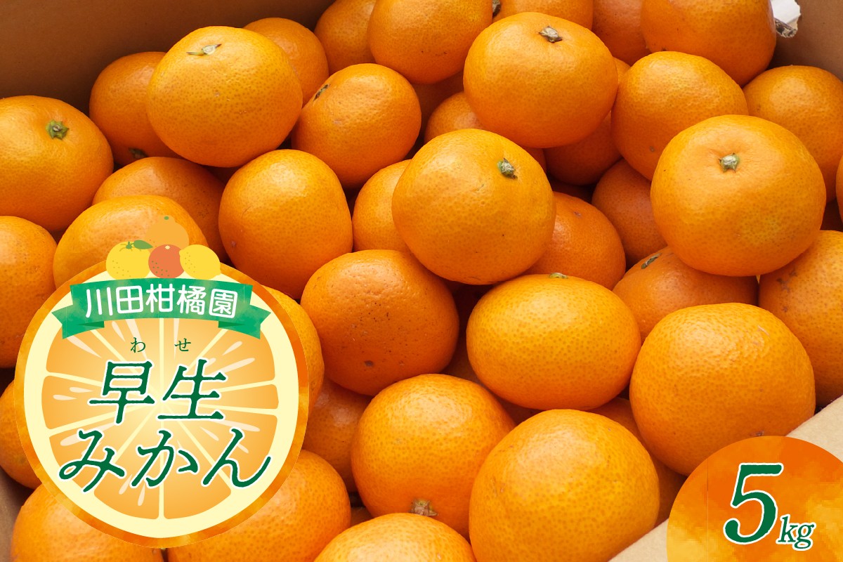 
            【2025年10月下旬～発送】川田柑橘園 広島大長産 「早生みかん」5kg ku055-005-25
          