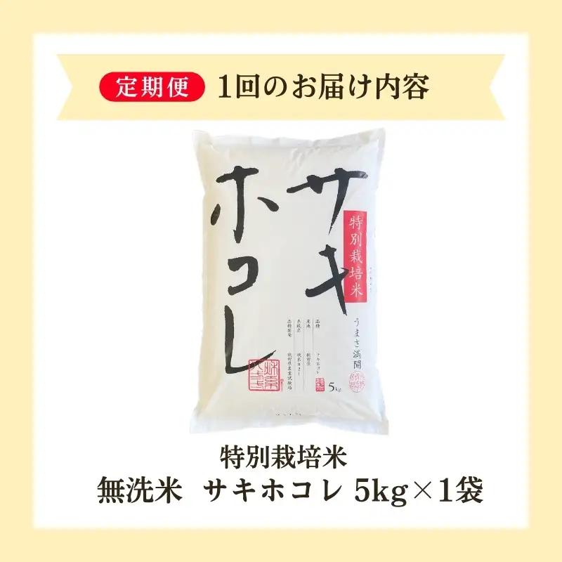 【新米予約】定期便11か月 サキホコレ 無洗米 5kg サキホコレ