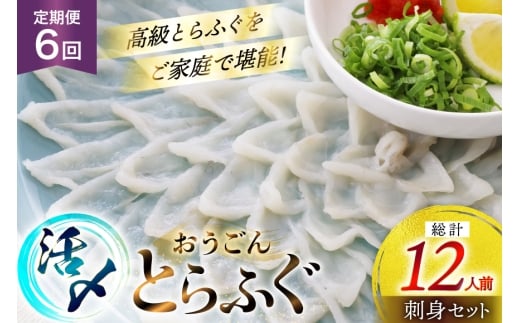 ふぐ 刺身 セット 活〆 おうごんとらふぐ 刺身セット 2人前 6回 定期便 [松永水産 長崎県 平戸市 hr42bgy400069] ふぐ刺し とらふぐ フグ 河豚 てっさ 魚介 さかな お刺身 刺身用 さしみ 冷凍 湯引き 海鮮 切り身