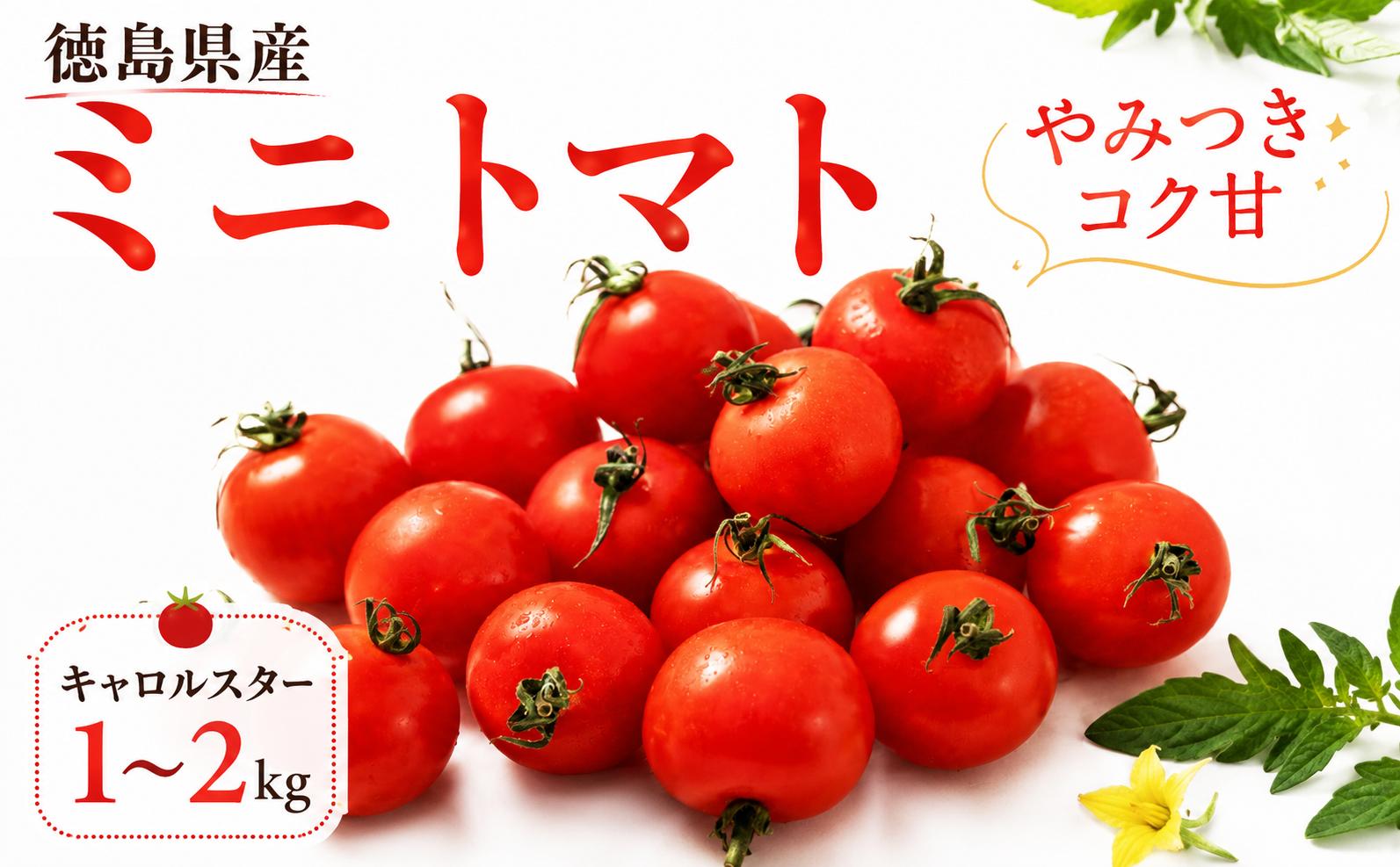 
                  【先行予約 出荷2026年6月～】 甘い ミニトマト 1kg 2kg 選べる 産地直送 旬 トマト リコピン ビタミンC 野菜 美容 栄養 おいしい お弁当 夕飯 サラダ おかず 森下農園  徳島 三好 みよし
                