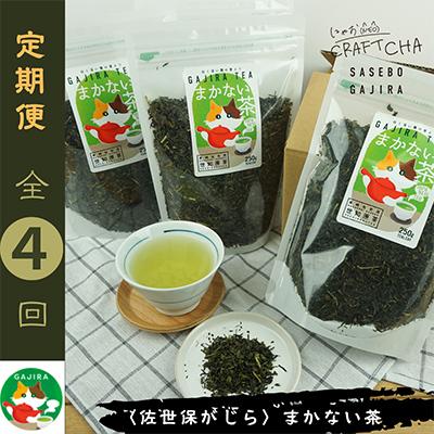 ふるさと納税 佐世保市 【発送月固定定期便】世知原茶お茶工場のまかない茶〈佐世保がじら〉全4回