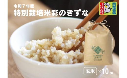【令和7年産】埼玉県比企郡吉見町産 特別栽培米 彩のきずな【玄米】10kg