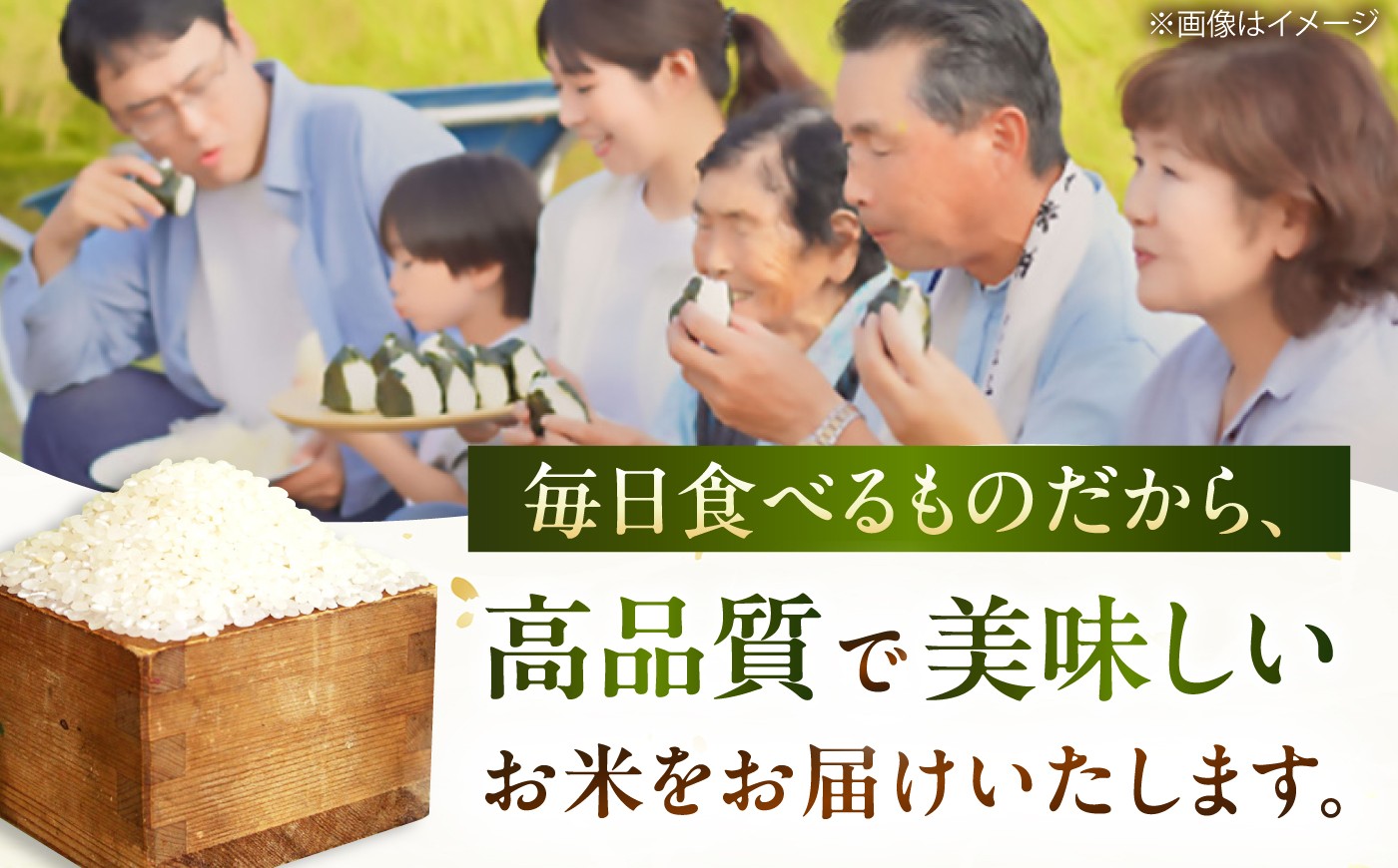 こんぜ清流米 コシヒカリ お米 白米 ご飯 コメ 特別栽培米 近江米産