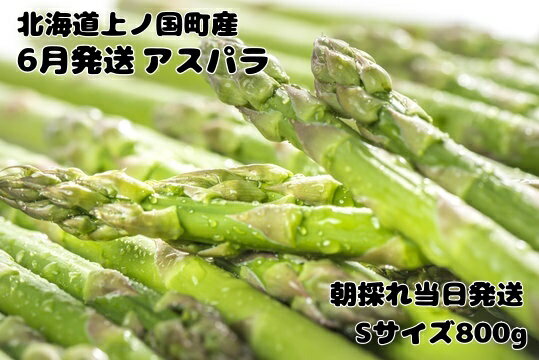 【ふるさと納税】【2026年6月発送】寅福菜園の朝採り6月限定アスパラ　S（800g）　グリーンアスパラ　朝採れ　農家直送　新鮮　ジューシー　特産品　北海道産