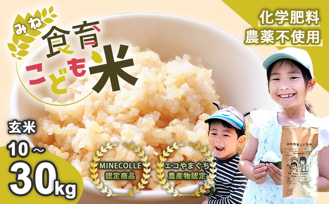 
                  令和7年産 新米 みね食育こども米 ( 玄米 ) 10kg 30kg 先行予約 ＜ 9月中旬以降 発送予定 ＞ | 山口県 山口 美祢 楽天ふるさと ふるさと 納税 支援品 返礼品 支援 返礼 米 国産 玄米 食育 農薬不使用 健康 有機 ご当地 お土産 名産品 特産品  土産
                