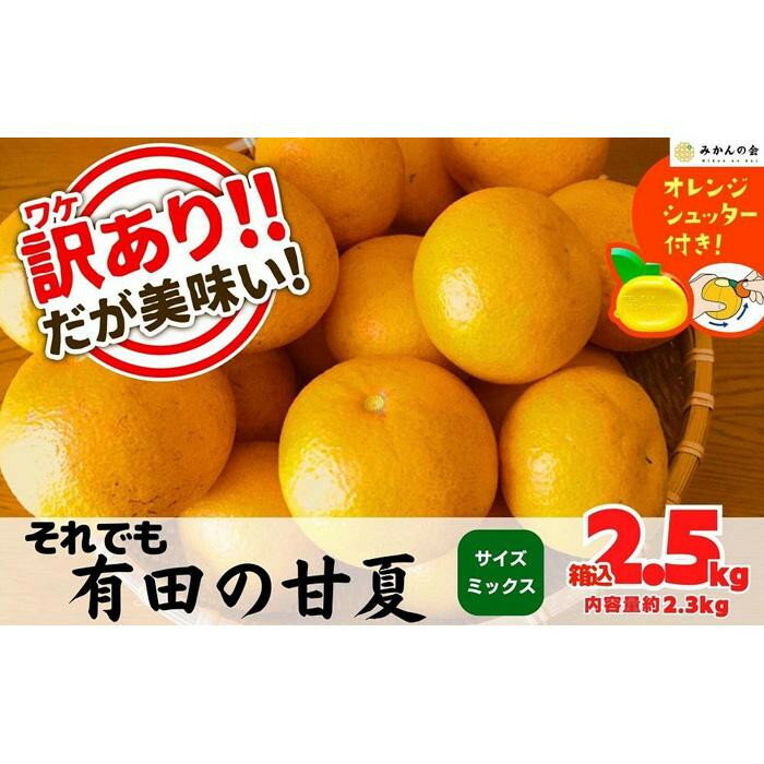 【ふるさと納税】【選べる容量】訳あり それでも 甘夏 箱込 2.5kg (内容量約 2.3kg)～ 10kg ( 内容量約 9.2kg ) サイズミックス 産地直送 家庭用 皮むき器付き［みかんの会］ | フルーツ 果物 くだもの 食品 人気 おすすめ 送料無料