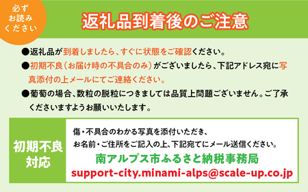 5-350 【２０２４年秋収穫先行予約】山梨県産シャインマスカット 1.0ｋｇ以上２房入　ギフト化粧箱入り　贈り物用に
