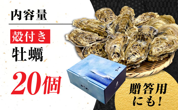 広島牡蠣の老舗！安心・安全の新鮮牡蠣【生牡蠣】牡蠣 かき 殻付き 20個入り 生食用 魚介類 海鮮 広島県産 江田島市/株式会社かなわ [XBP008]