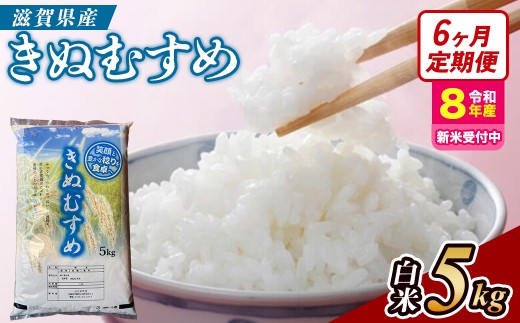 【令和8年産 新米 先行予約】【定期便】近江米きぬむすめ 5kgx6回定期便（精米）※2026年9月～発送 (173433-40043437)