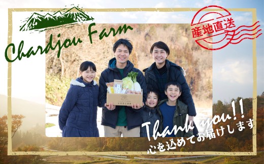 【日本一の栄養価】濃厚！有機ミニトマトの宝石箱1.1kg　【07208-0816】