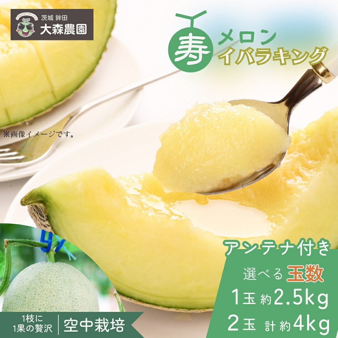 【ふるさと納税】メロン めろん 寿メロン 「空中栽培」で栽培した贅沢な イバラキングメロン アンテナ付き 選べる玉数 1玉 2玉 1玉2.5kg 2玉合計約4kg メロン 大森農園 先行予約 フルーツ先行予約 メロン先行予約