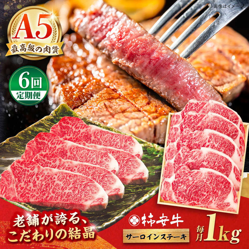 【ふるさと納税】【6回定期便】最高級A5等級 三重県産 黒毛和牛 柿安牛 サーロインステーキ 1000g / 国産牛 ブランド牛 牛肉 冷蔵 / 亀山市 / 柿安本店 [AMBW031]