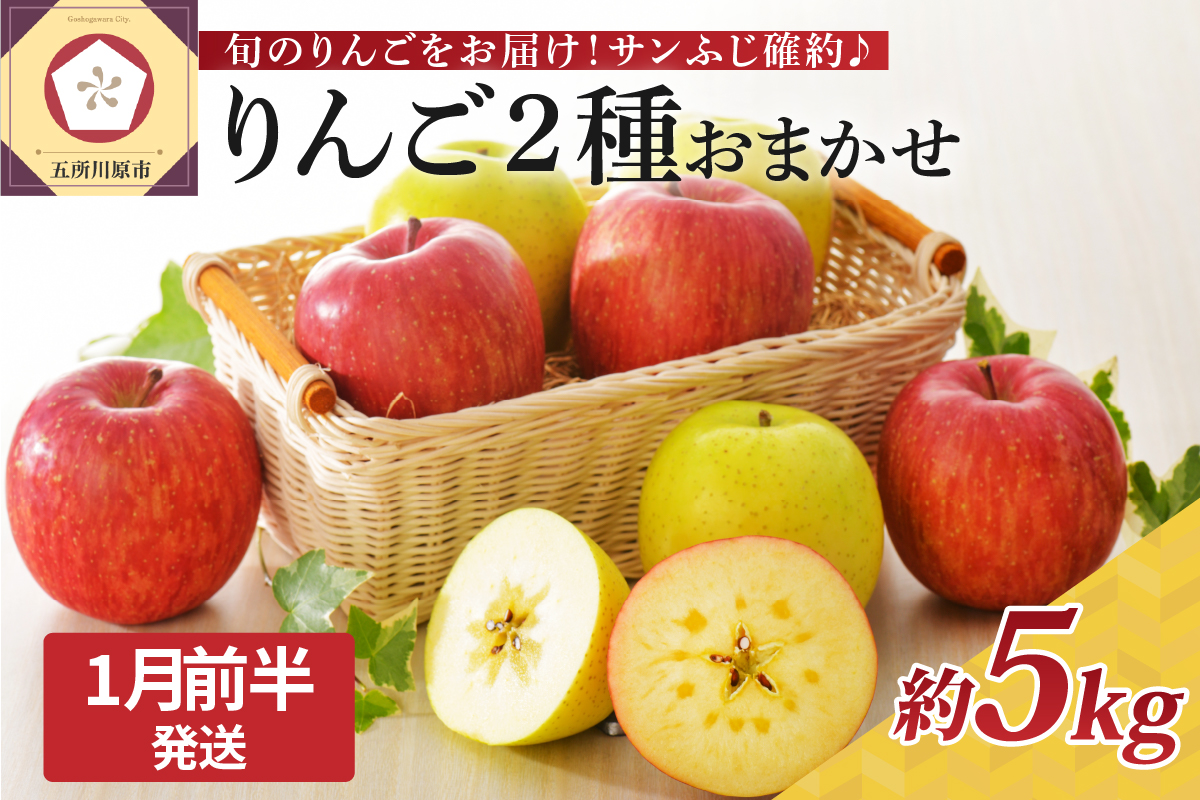 【2027年1月前半発送】りんご 約5kg 青森産 サンふじ 確約 品種おまかせ2種以上 贈答用 特選～特秀