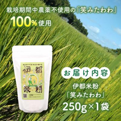 ふるさと納税 糸島市 伊都 米粉 笑みたわわ 250g フルタク [AHN006] グルテンフリー 米 |  | 03