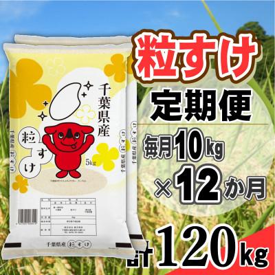 ふるさと納税 大網白里市 【毎月定期便】粒すけ 精米 10kg (5kg×2袋)全12回