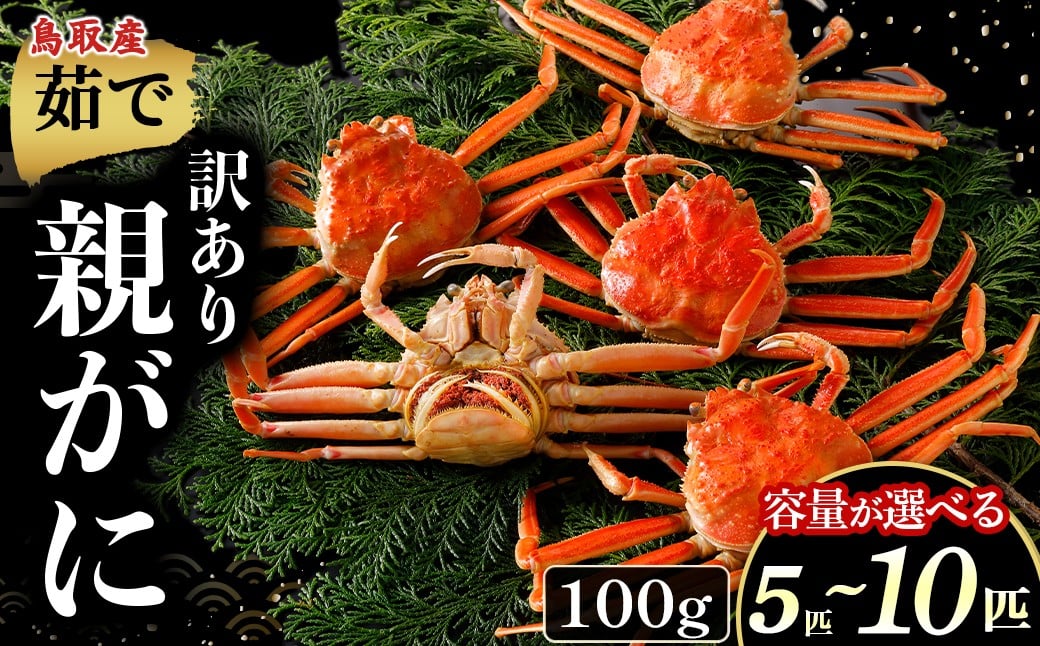 
                  【年内発送】【訳あり】【茹で親がに 100g 5〜10匹】選べる容量！ 年内発送！カニ ボイル 親がに 親ガニ ズワイガニ カニの甲羅 カニ味噌 内子 外子 蟹身 かにみそ 海鮮 国産 松葉ガニ 生活応援 大人気  期間限定 日本海 せこがに せいこがに
                