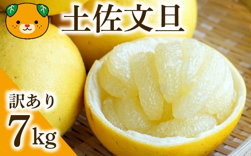 
                  チョイス限定価格 訳あり 土佐文旦 7kg みかん 蜜柑 文旦 ぶんたん 柑橘 果物 フルーツ 土佐 文旦 分担 ブンタン ゼリー  ジュース アイス 国産 愛媛県 愛南町青果市場 発送:2026年2月中旬～(なくなり次第終了)
                