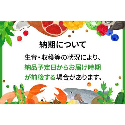ふるさと納税 沼田市 CAS印 群馬県産ホタカサーモン皮せんべい 約500g 株式会社沼田魚菜市場仲卸 |  | 01
