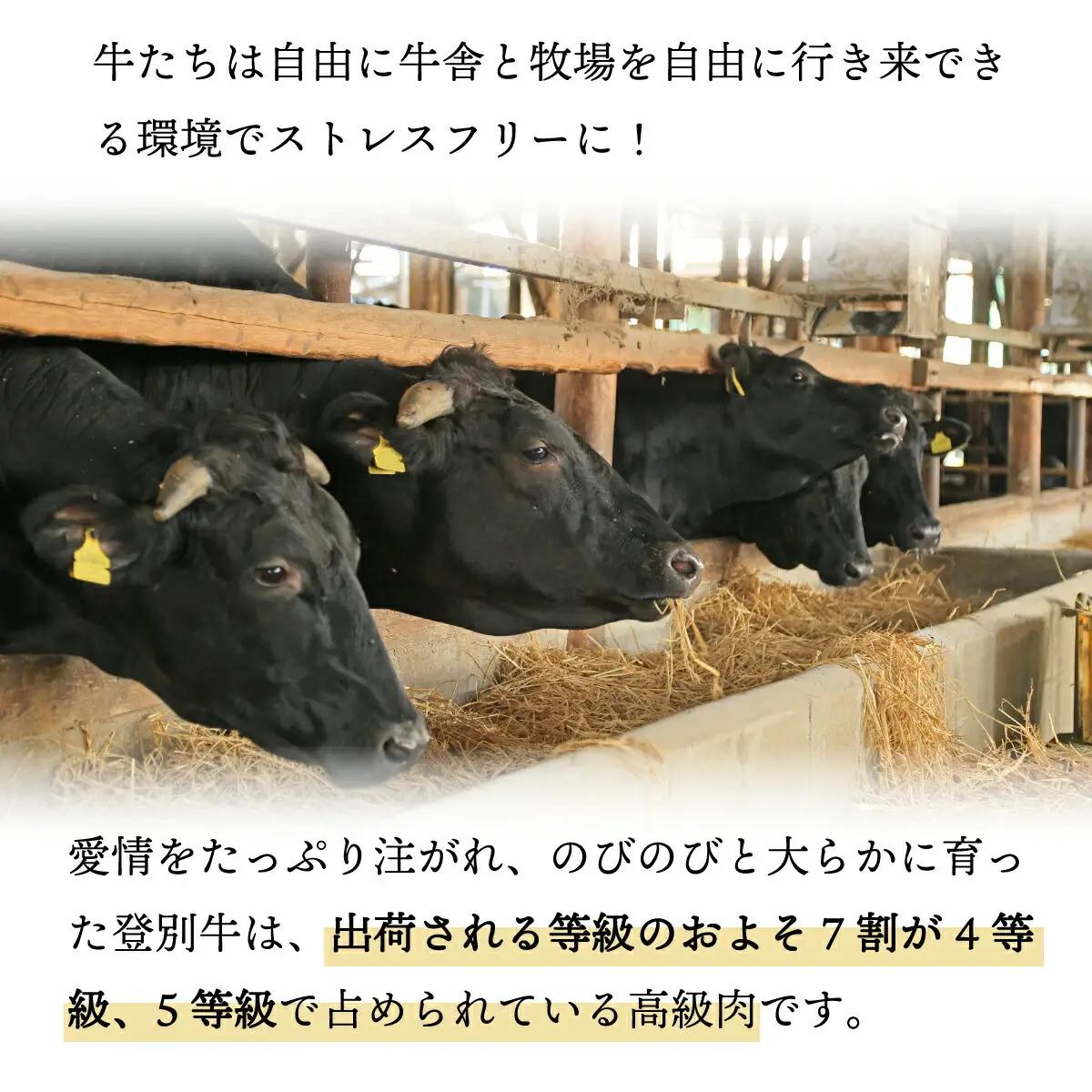 「登別牛100％使用ハンバーグ 120g×5個」