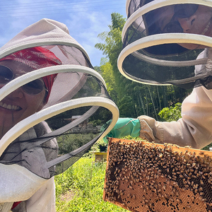 BeeCampはちみつ味わいセット 2瓶セット(140gx2瓶) | はちみつ ハチミツ 国産 非加熱 純粋 生はちみつ 百花蜜 【BCP001】