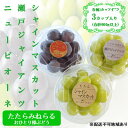 【ふるさと納税】【2025年先行予約】 ぶどう 岡山県産 たたらみねらる アンサンブルカップ( シャインマスカット ・ 瀬戸ジャイアンツ ・ ニューピオーネ )3カップ入 900g以上《2025年8月下旬-10月上旬出荷》 岡山 里庄町　お届け：2025年8月下旬～2025年10月上旬