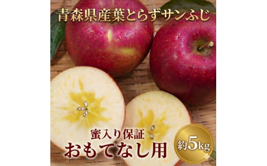 ＜26年11月～12月発送＞平均糖度13度以上! 蜜入り 葉とらずサンふじ 約5kg おもてなし用【1607467】