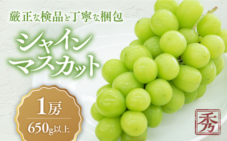 【2025年分発送】こだわり シャインマスカット 1房 650g以上 先行予約 先行 予約 山梨県産 産地直送 フルーツ 果物 くだもの ぶどう ブドウ 葡萄 シャイン シャインマスカット 新鮮 人気 おすすめ 国産 贈答 ギフト お取り寄せ 甘い 皮ごと 山梨 甲斐市 CD-2 