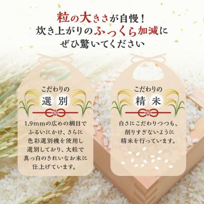 ふるさと納税 能代市 【白米】秋田県産 あきたこまち 10kg アグリ檜山[No.5335-0040] |  | 03