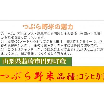 ふるさと納税 韮崎市 【毎月定期便】つぶら野米(品種:コシヒカリ) 白米10kg 定期10ヶ月(計100Kg)全10回 |  | 01