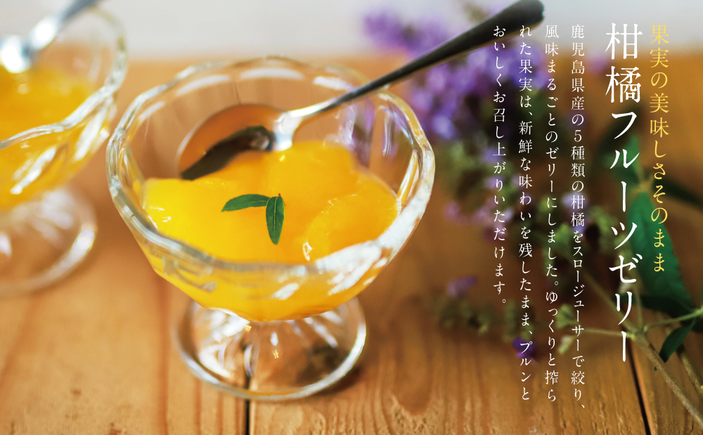 【鹿児島県産】柑橘フルーツゼリー 詰め合わせ 5種 常温 セット スイーツ お菓子 ギフト 贈り物 贈答用 詰合せ おすすめ お取り寄せ 果物 フルーツゼリー 清木場果樹園 鹿児島 南さつま市
