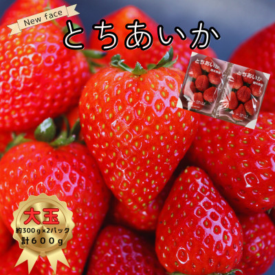 いちご王国栃木のNEW FACE!!大粒とちあいか600g【配送不可地域：離島・沖縄】【1380779】