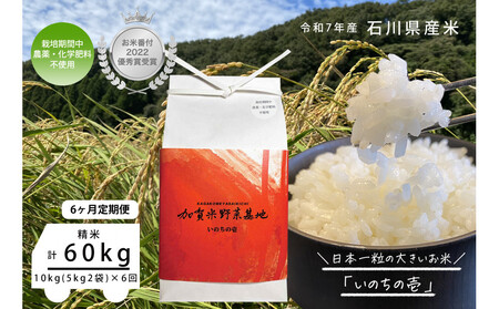 《令和7年産 新米》【6ヶ月定期便】【お米番付優秀賞受賞農家】日本一粒の大きいお米『いのちの壱』白米10kg×6回