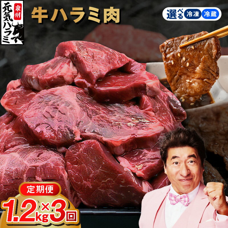 【ふるさと納税】＼定期便／ 牛肉 牛ハラミ タレ漬け 1.2kg 定期便 全3回 【毎月配送コース】大阪府 泉佐野市 送料無料 肉の泉佐野