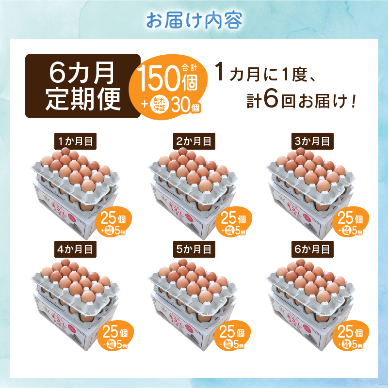 【6ヶ月定期便】富士山の麓で育った産地直送 ”忍野の卵”※卵25個+割れ保証5個　計180個