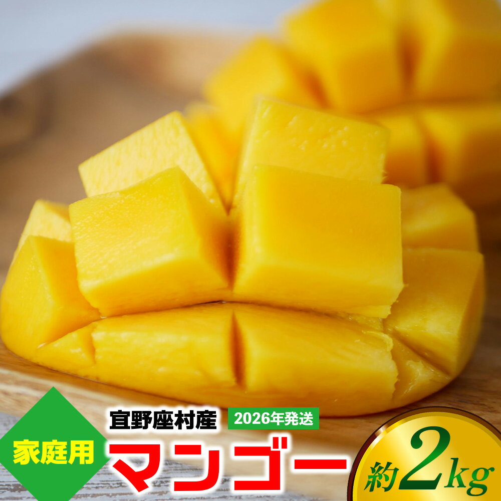 【ふるさと納税】【2026年発送】ご家庭用マンゴー 約2kg【宜野座村産】 沖縄 南国 先行予約 期間限定 マンゴー 果物 くだもの フルーツ 果実 家庭用 自宅用 濃厚 甘い 芳醇 夏