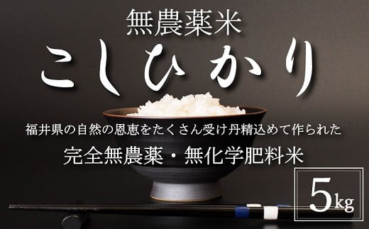 〈令和6年産・新米〉無農薬米5㎏【こしひかり】白米