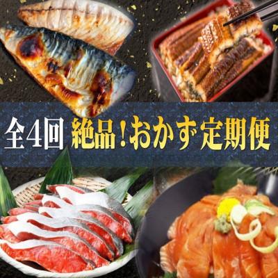 ふるさと納税 北山村 【毎月定期便】家族みんなで楽しめる! 絶品おかず定期便【tkb305】全4回