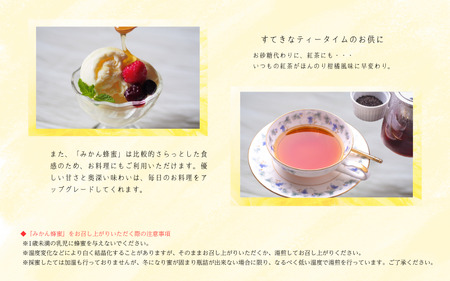 蜂蜜 ハチミツ みかん みかん蜂蜜 和歌山 / 紀美野町産 純粋みかん蜂蜜【twn001-1】