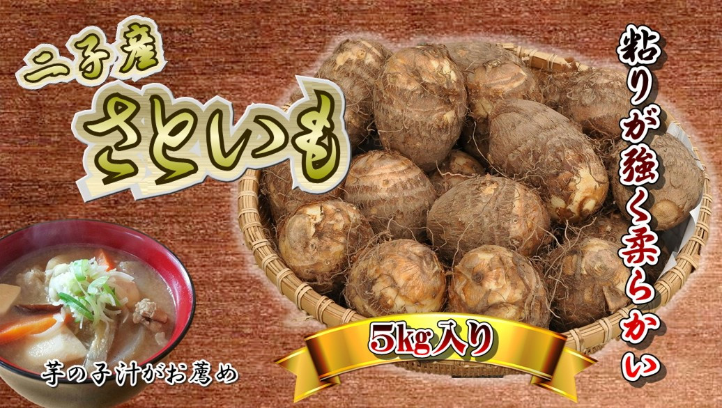 
            予約受付 さといも 5㎏　2L・3L サイズ！（北上市二子産）　2025年10月発送予定  里芋 季節野菜 産地 名産 展勝地 岩手県 北上市 F0087
          